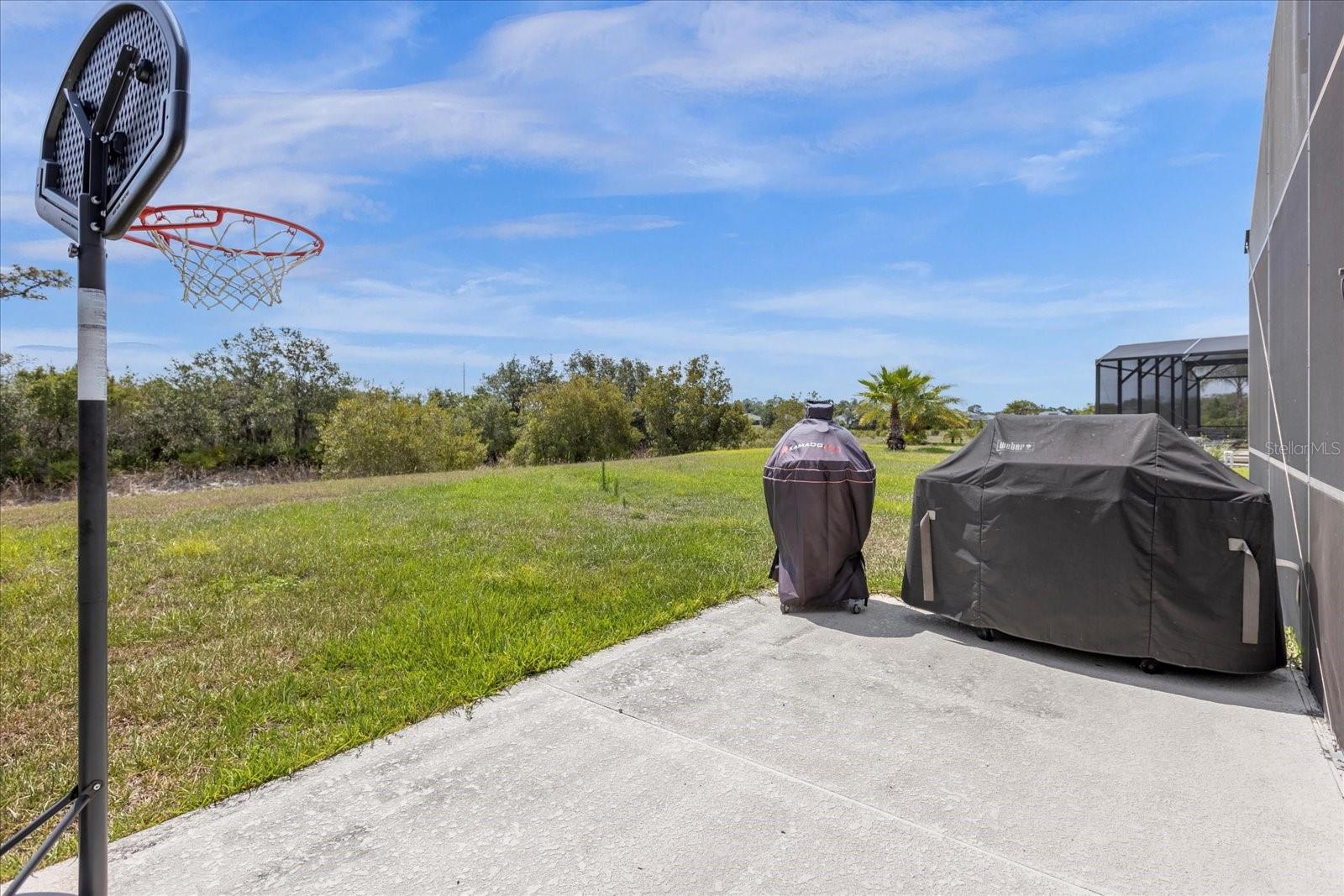 308 YELLOW SNAPDRAGON DR, DAVENPORT, FL, 33837