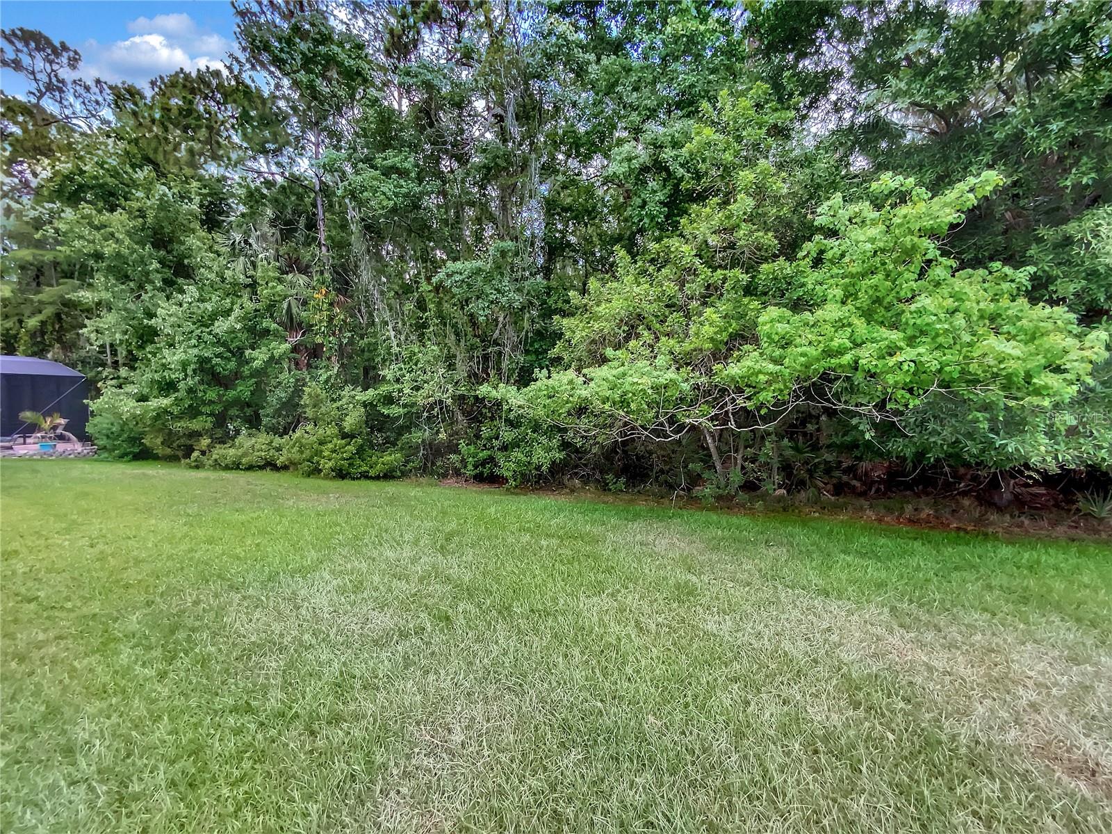 615 SPRING ISLAND WAY, ORLANDO, FL, 32828