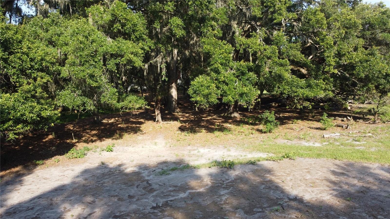 1 BRANDON PKWY, BRANDON, FL, 33511
