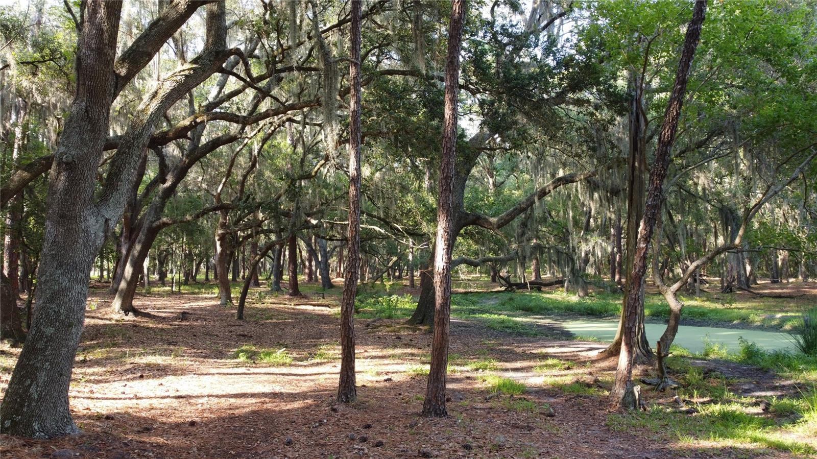 1 BRANDON PKWY, BRANDON, FL, 33511