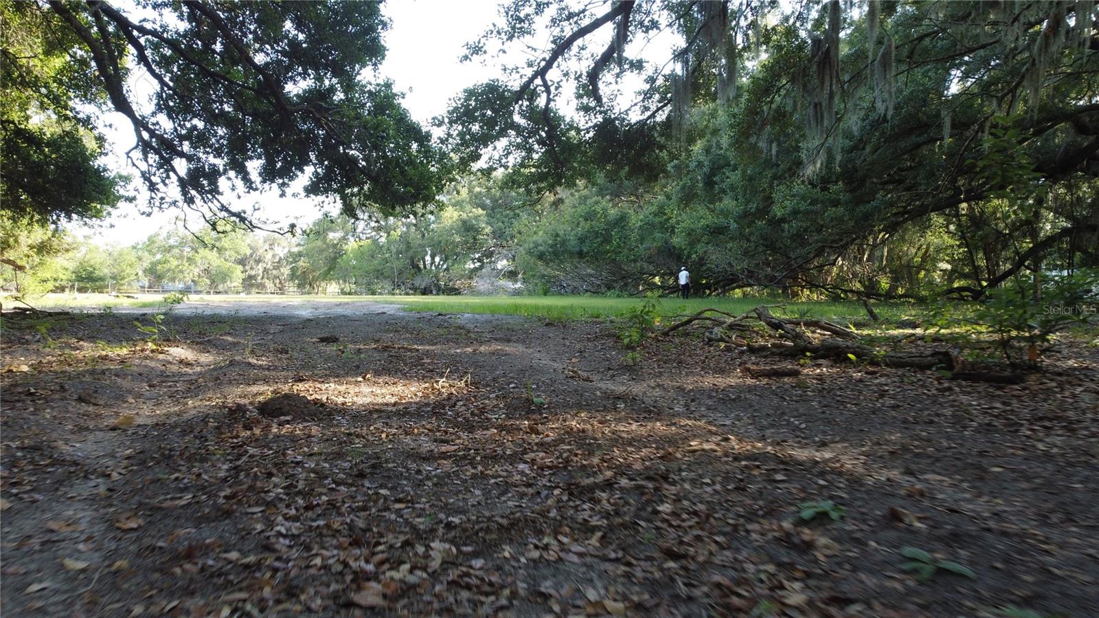 1 BRANDON PKWY, BRANDON, FL, 33511