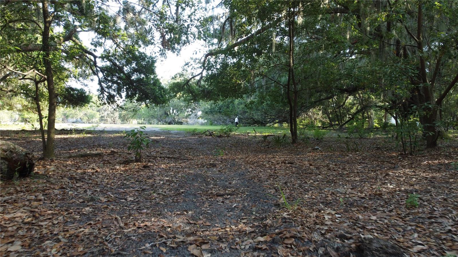 1 BRANDON PKWY, BRANDON, FL, 33511