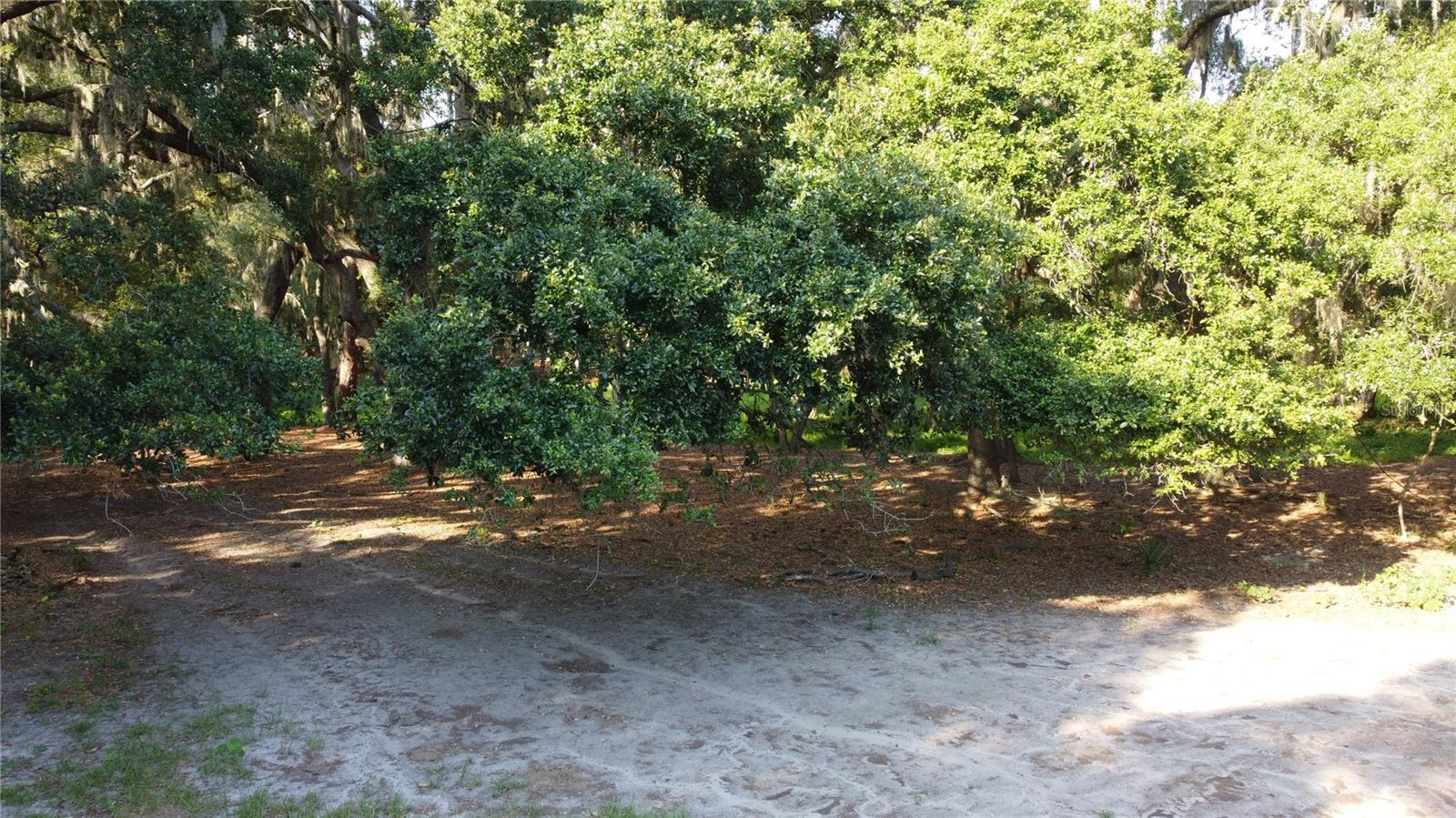 1 BRANDON PKWY, BRANDON, FL, 33511