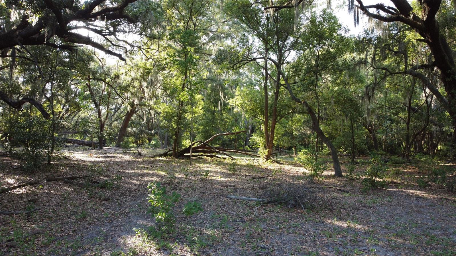 1 BRANDON PKWY, BRANDON, FL, 33511