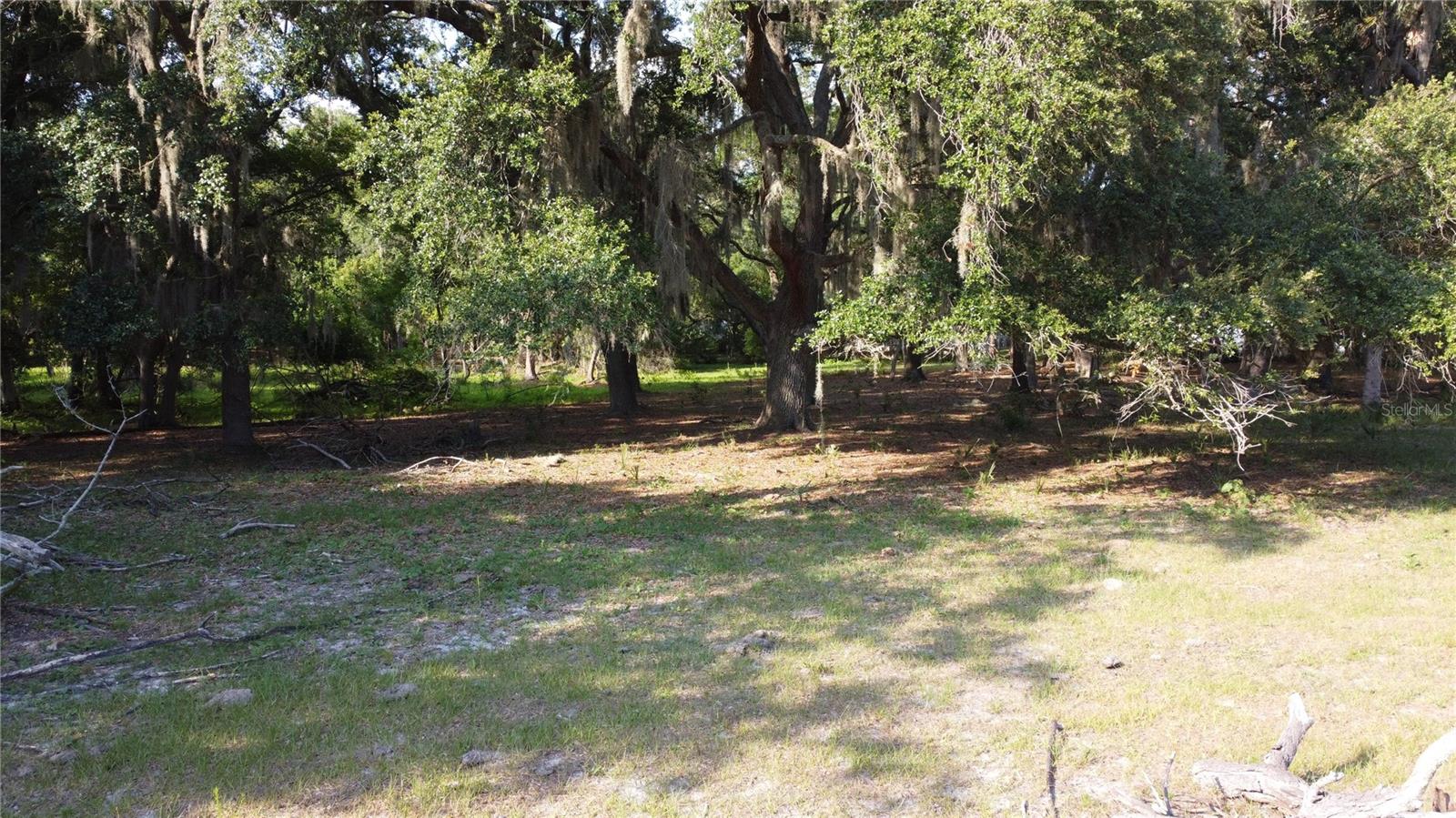 1 BRANDON PKWY, BRANDON, FL, 33511