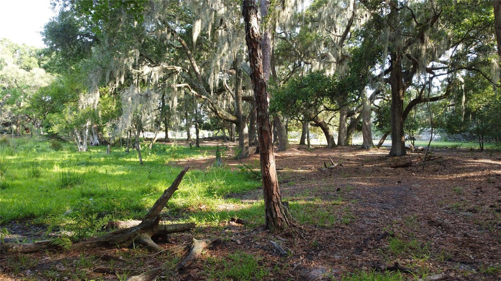 1 BRANDON PKWY, BRANDON, FL, 33511