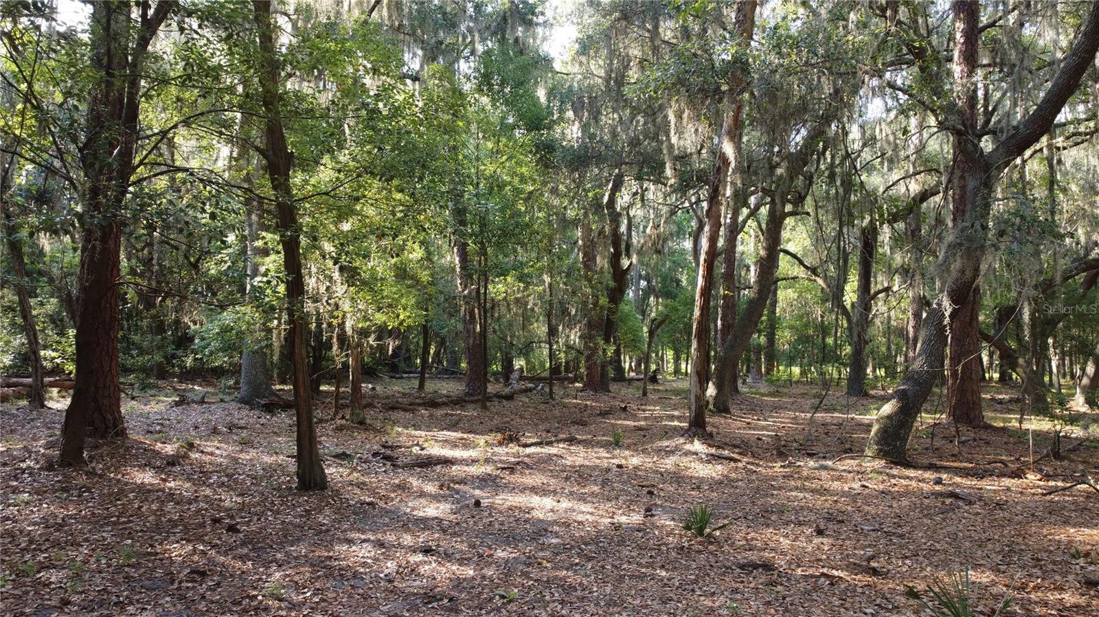 1 BRANDON PKWY, BRANDON, FL, 33511