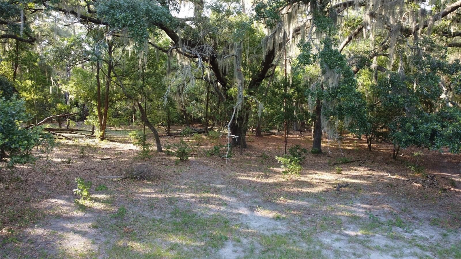 1 BRANDON PKWY, BRANDON, FL, 33511