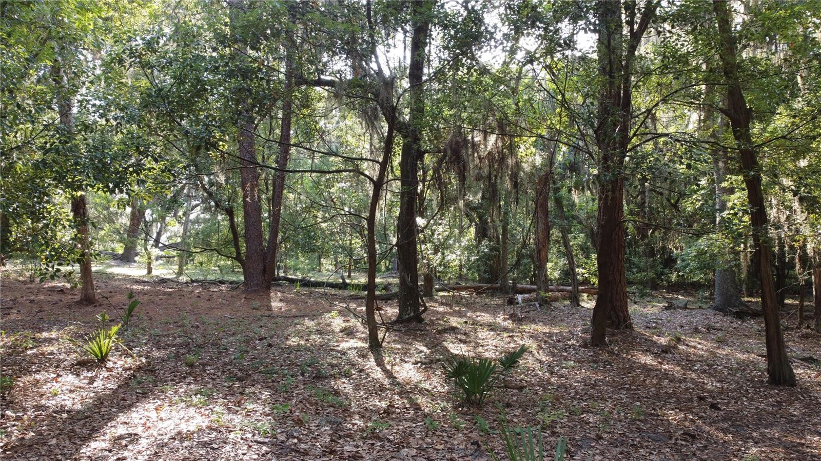 1 BRANDON PKWY, BRANDON, FL, 33511