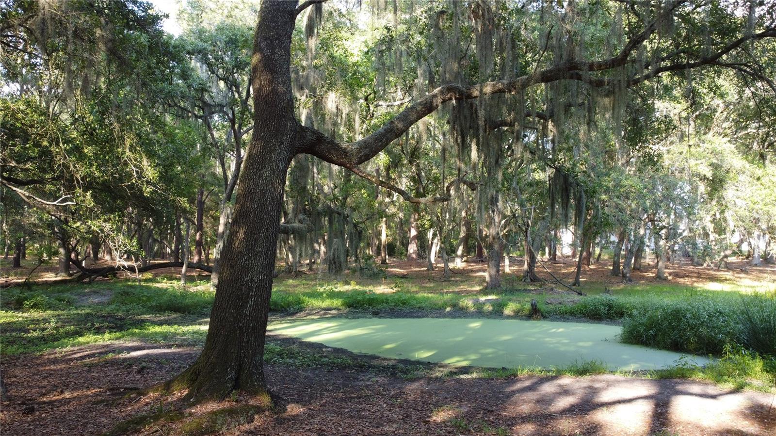 1 BRANDON PKWY, BRANDON, FL, 33511