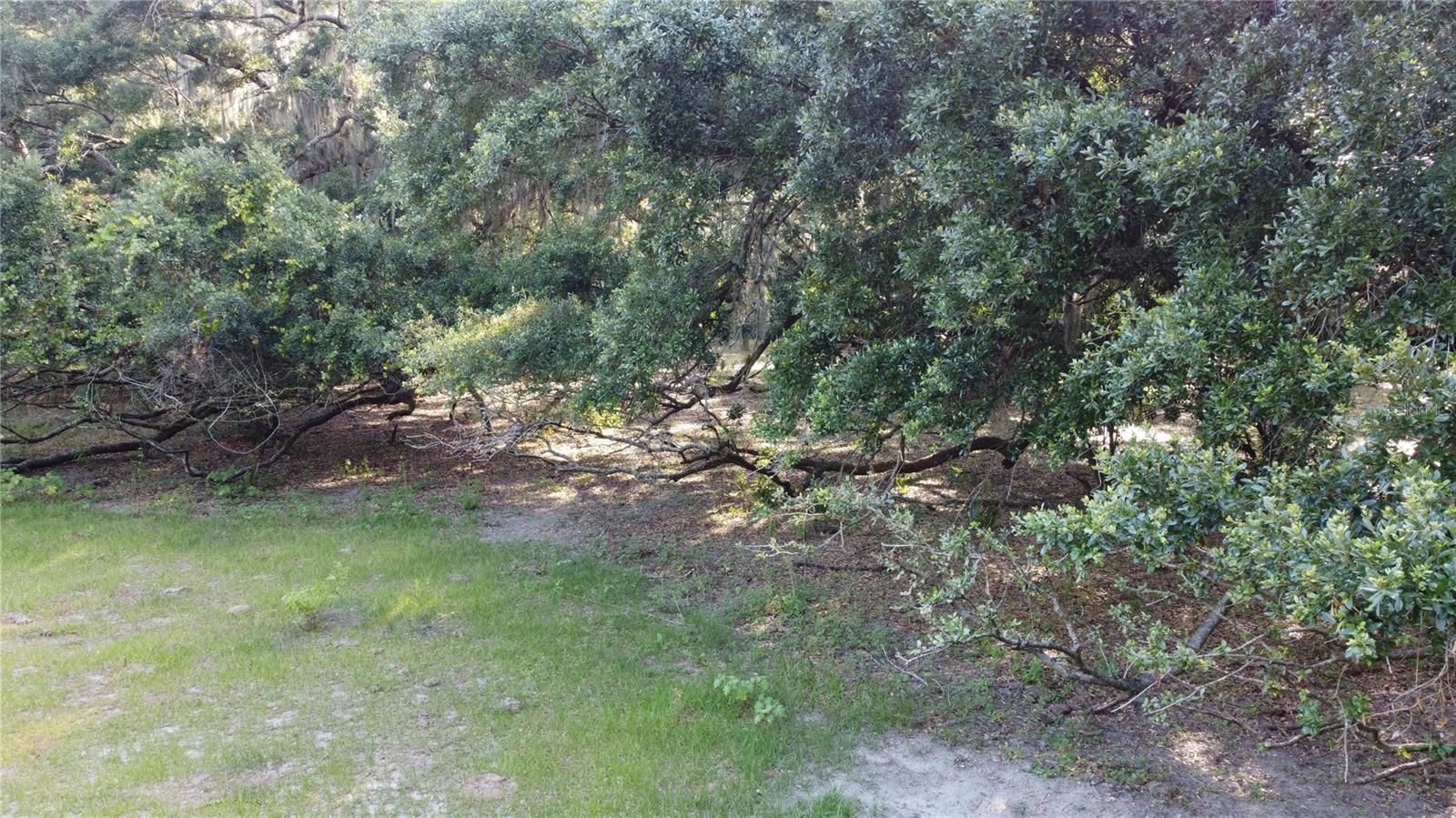 1 BRANDON PKWY, BRANDON, FL, 33511