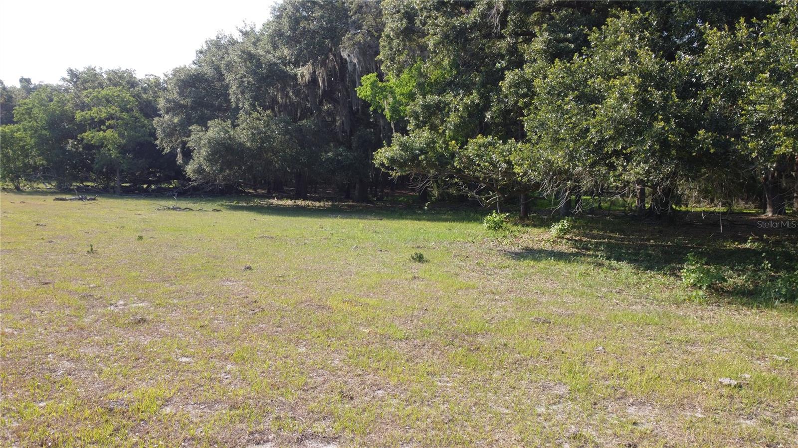 1 BRANDON PKWY, BRANDON, FL, 33511