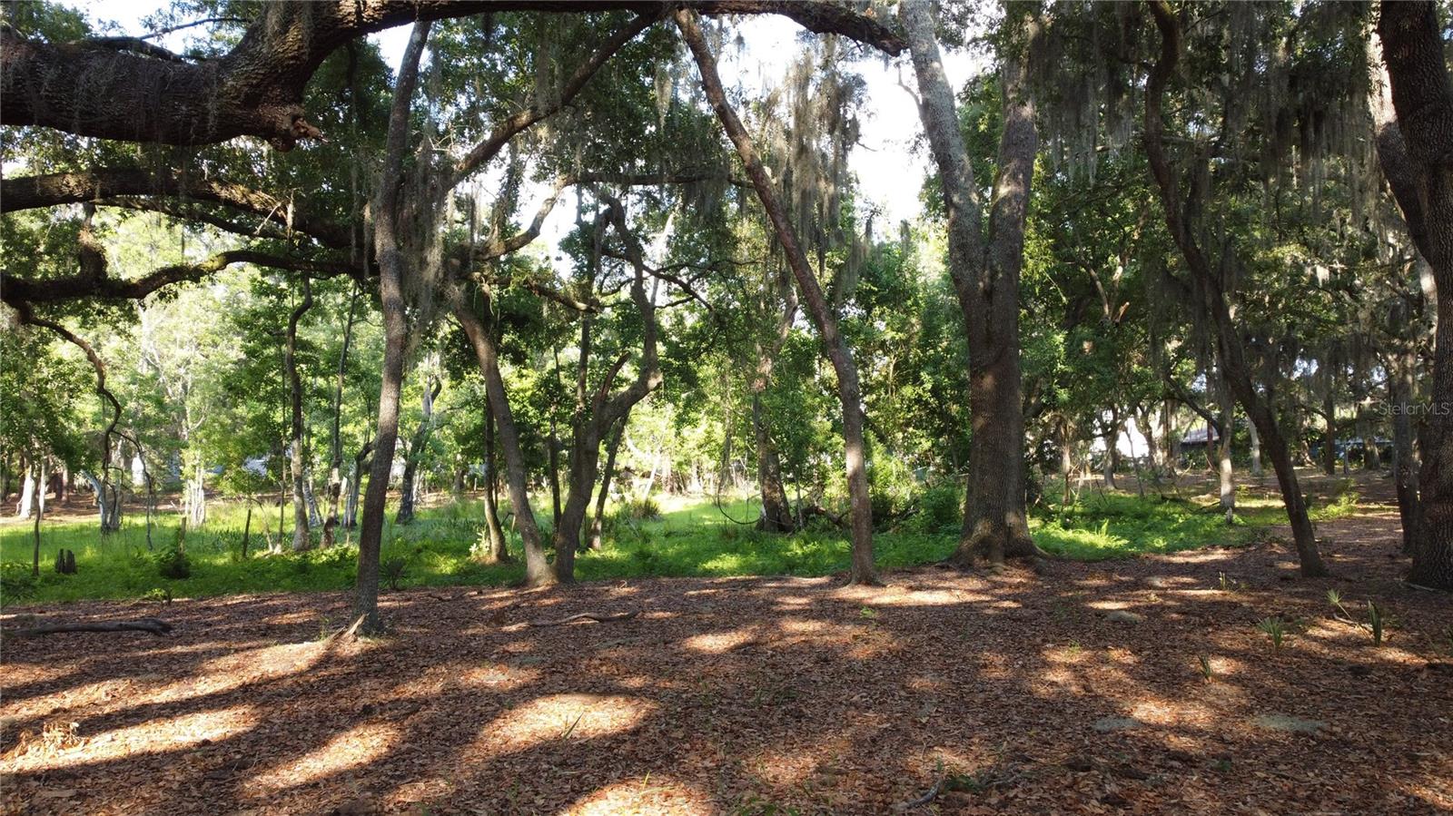 1 BRANDON PKWY, BRANDON, FL, 33511