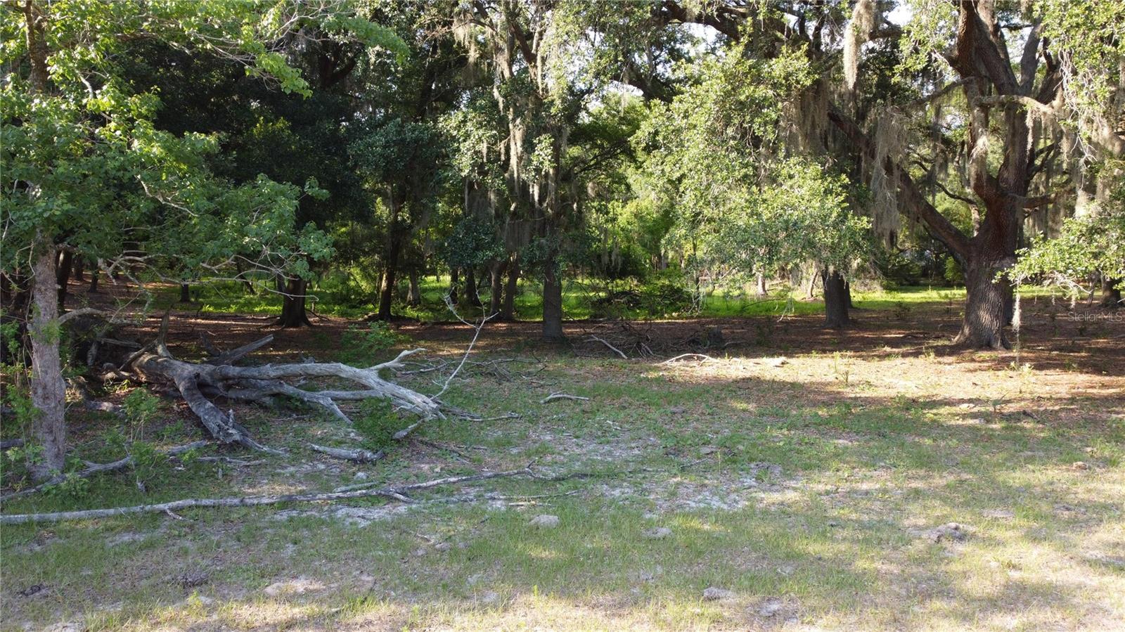 1 BRANDON PKWY, BRANDON, FL, 33511
