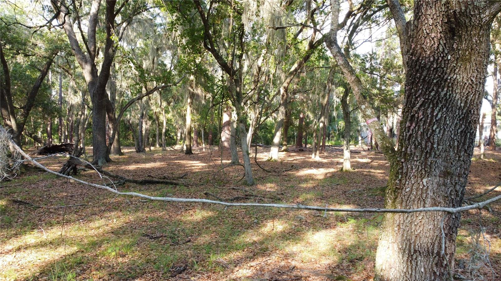 1 BRANDON PKWY, BRANDON, FL, 33511
