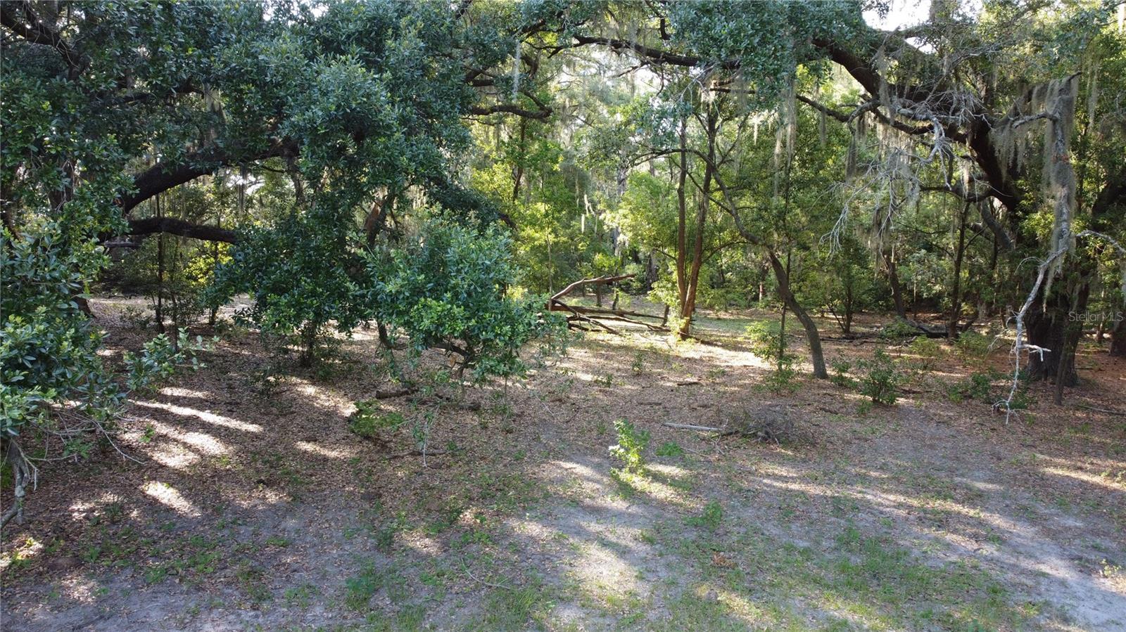 1 BRANDON PKWY, BRANDON, FL, 33511