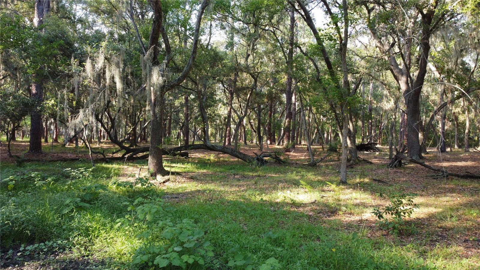 1 BRANDON PKWY, BRANDON, FL, 33511