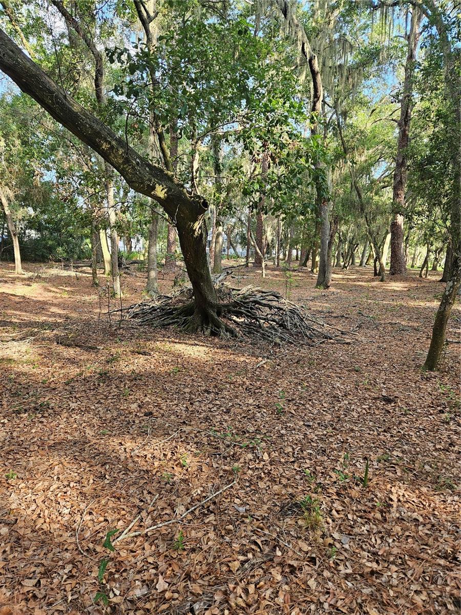 1 BRANDON PKWY, BRANDON, FL, 33511