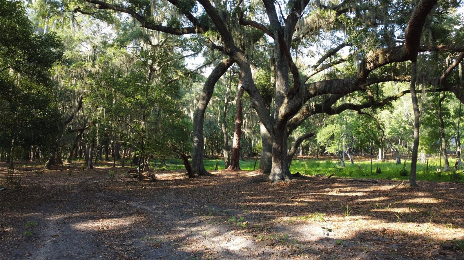 1 BRANDON PKWY, BRANDON, FL, 33511