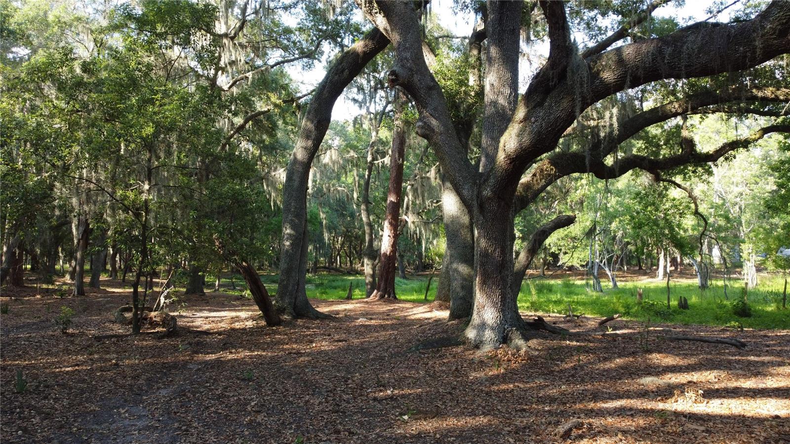 1 BRANDON PKWY, BRANDON, FL, 33511