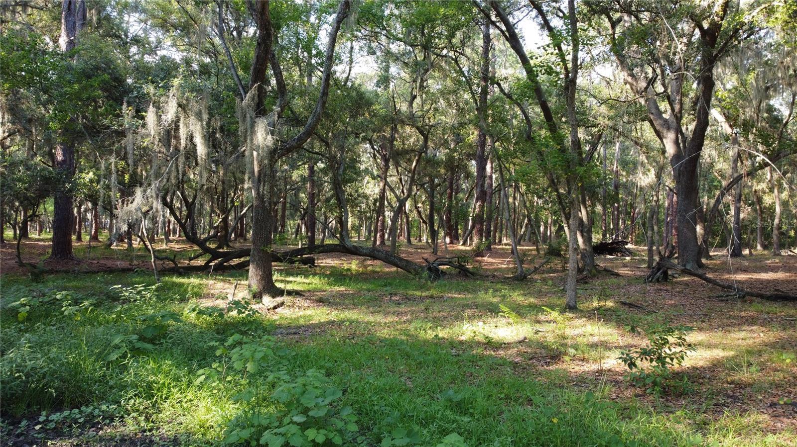 1 BRANDON PKWY, BRANDON, FL, 33511