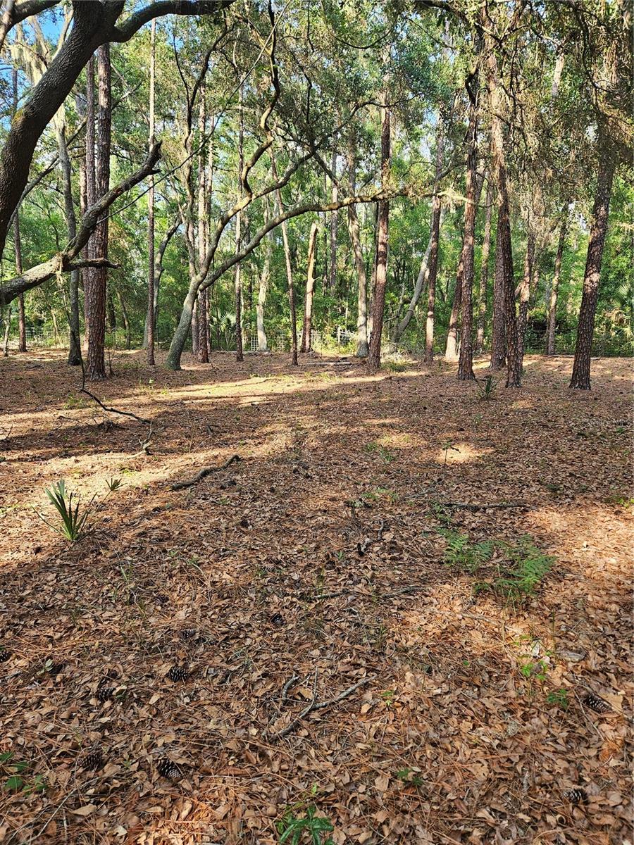 1 BRANDON PKWY, BRANDON, FL, 33511