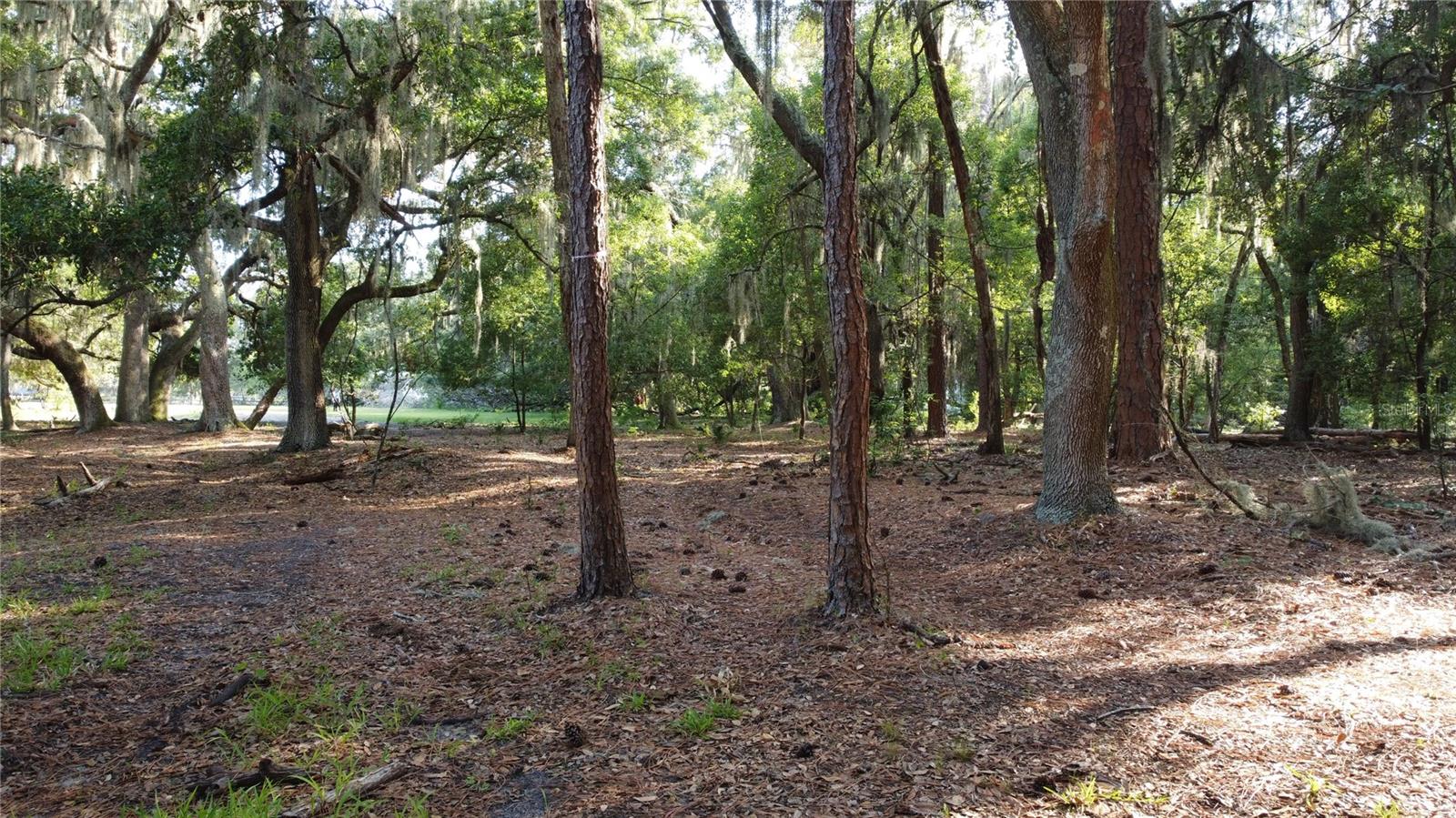 1 BRANDON PKWY, BRANDON, FL, 33511