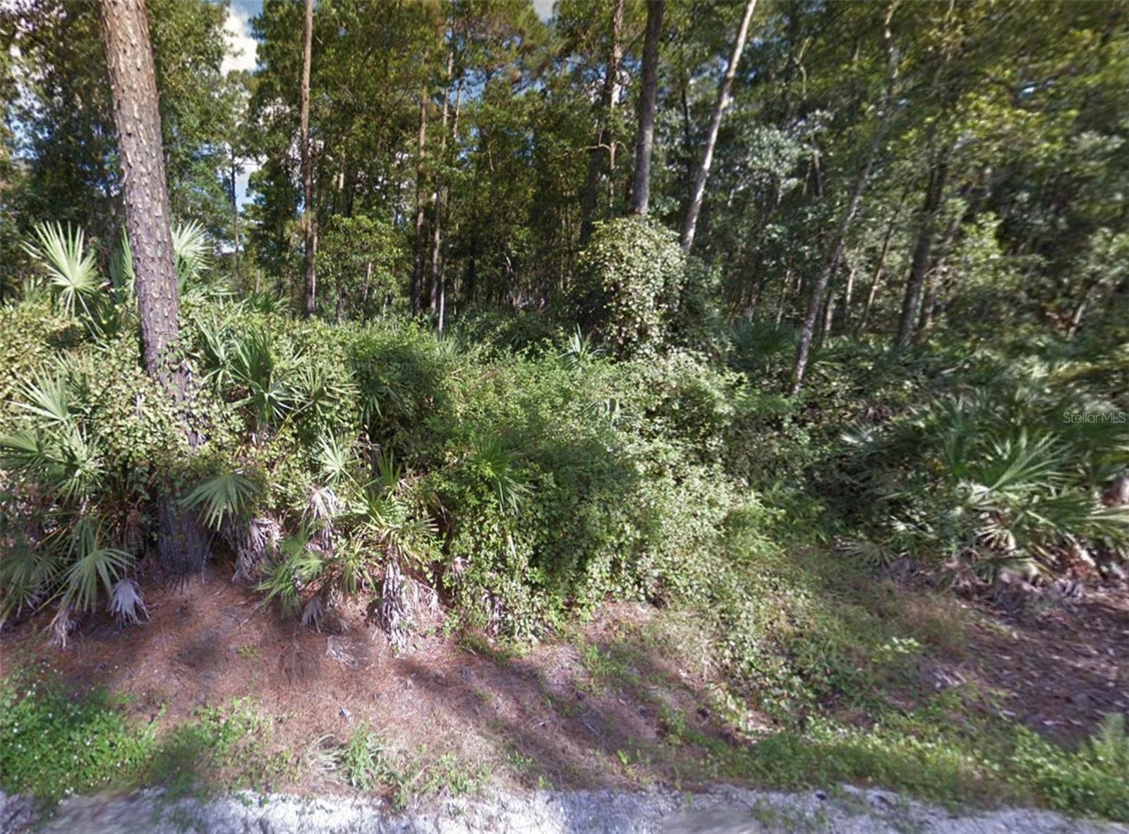 1465 EAST PKWY, DELAND, FL, 32724