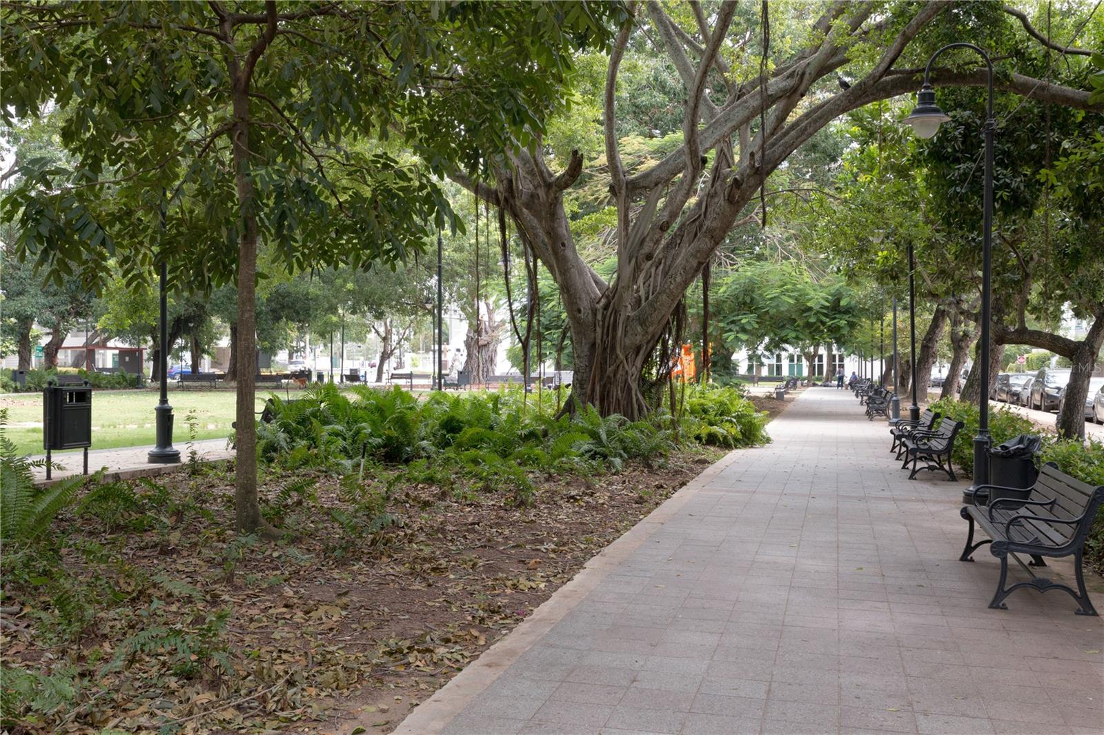 PR9106738 Property Photo