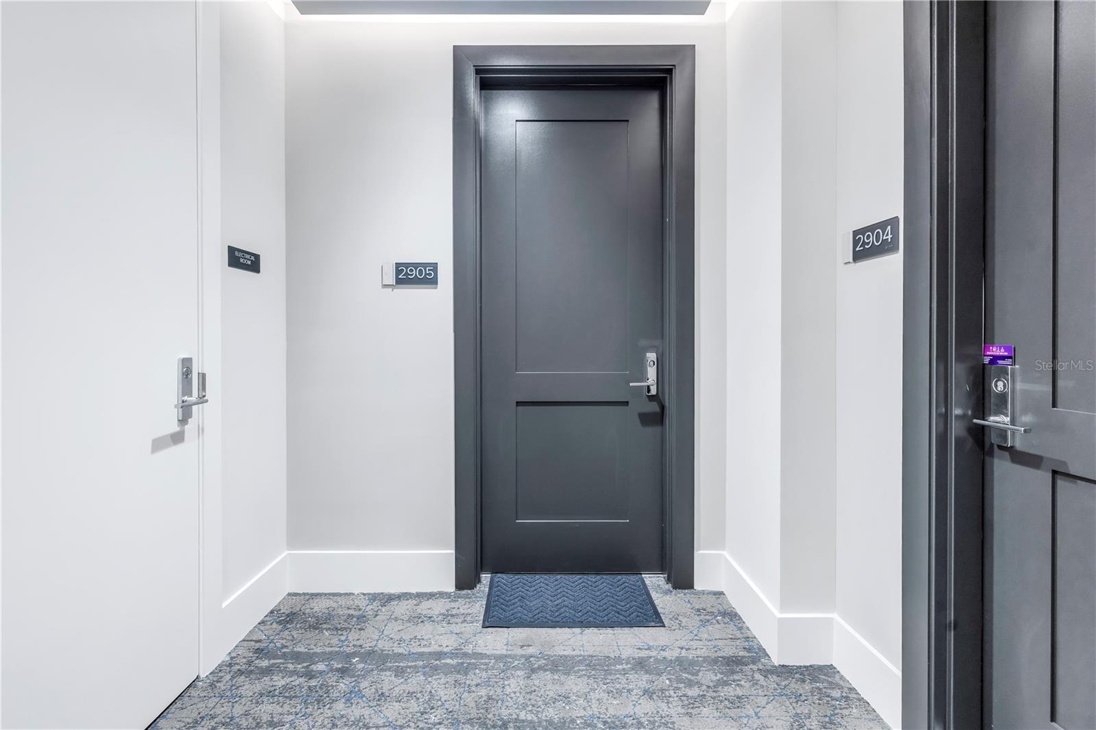 301 1ST ST S #2905, ST PETERSBURG, FL, 33701