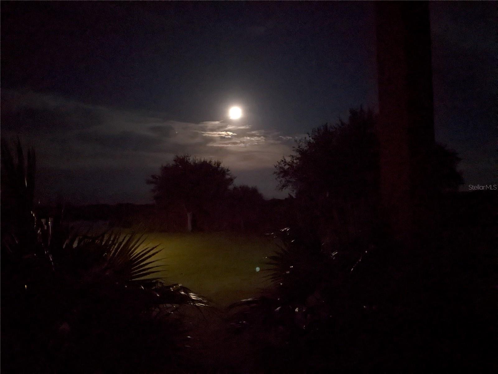 37471 WASHINGTON LOOP RD, PUNTA GORDA, FL, 33982