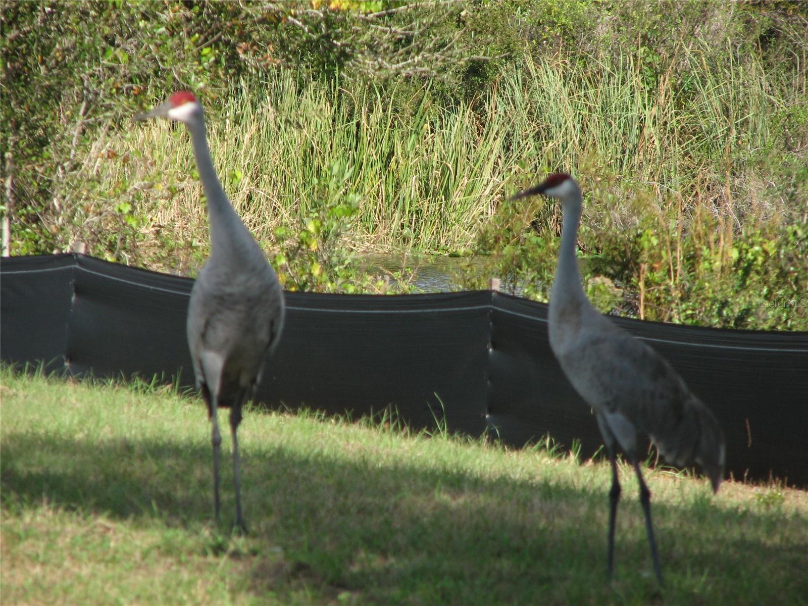 37471 WASHINGTON LOOP RD, PUNTA GORDA, FL, 33982