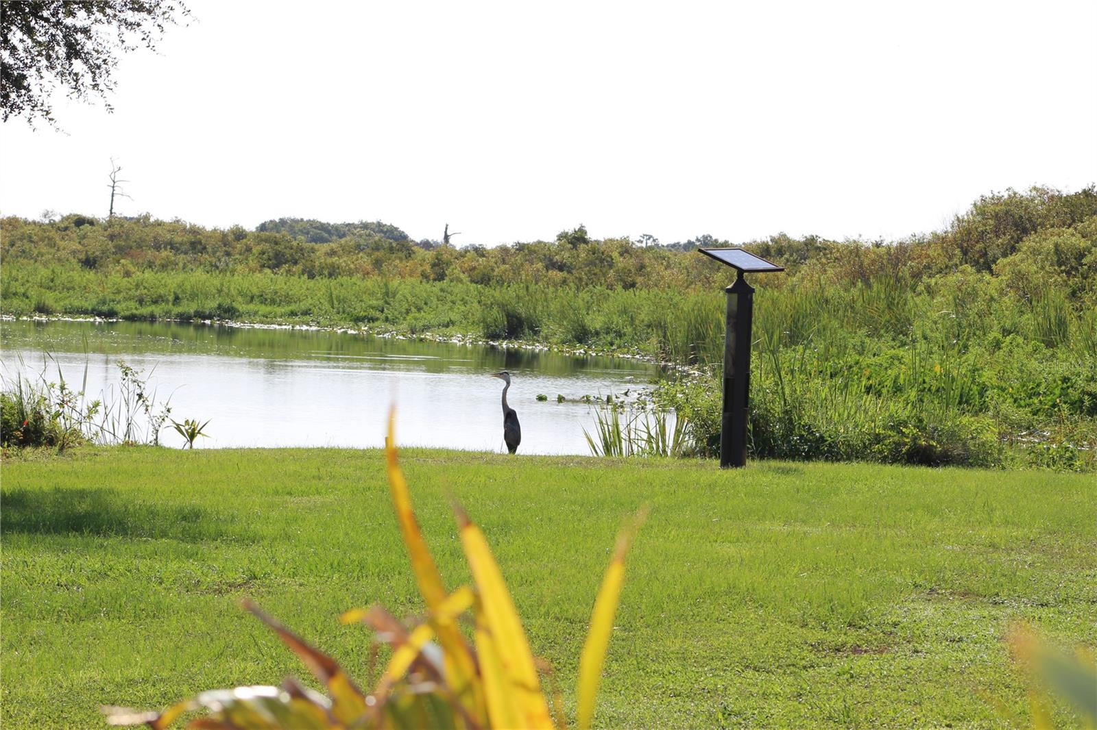 37471 WASHINGTON LOOP RD, PUNTA GORDA, FL, 33982