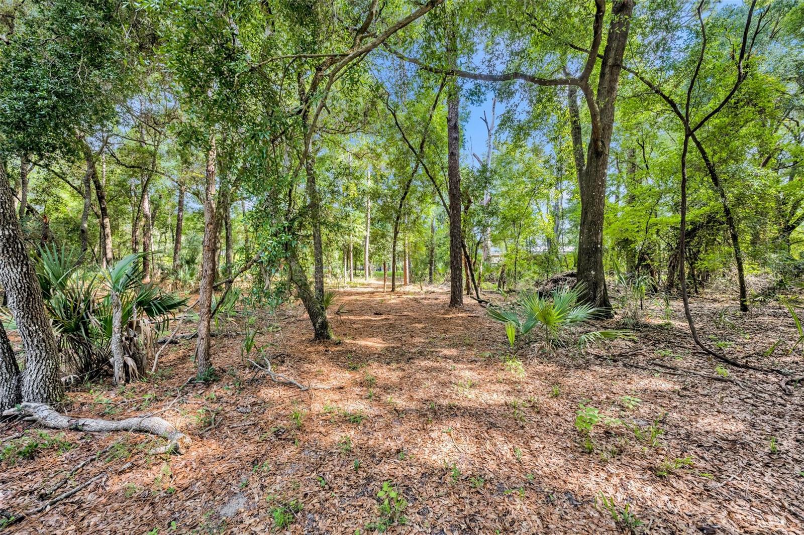 191 E PONKAN RD, APOPKA, FL, 32712