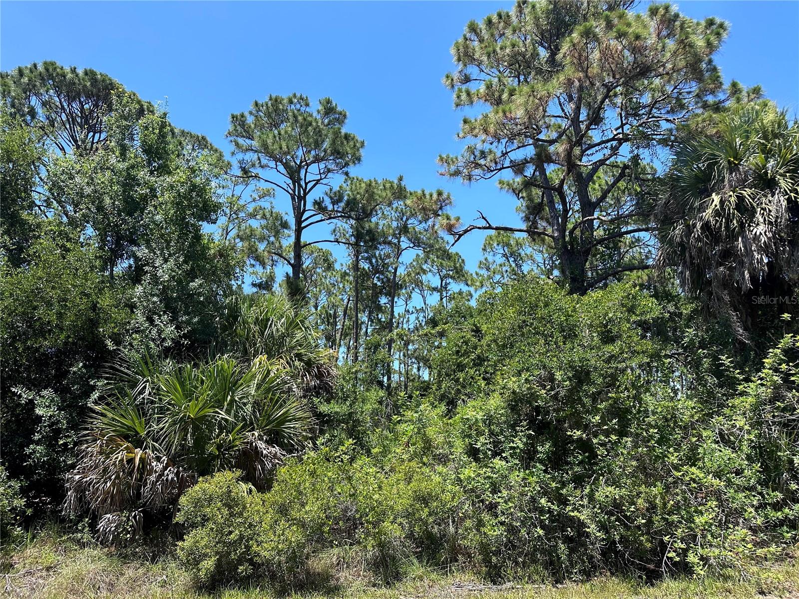 18272 PLACID AVE, PORT CHARLOTTE, FL, 33948