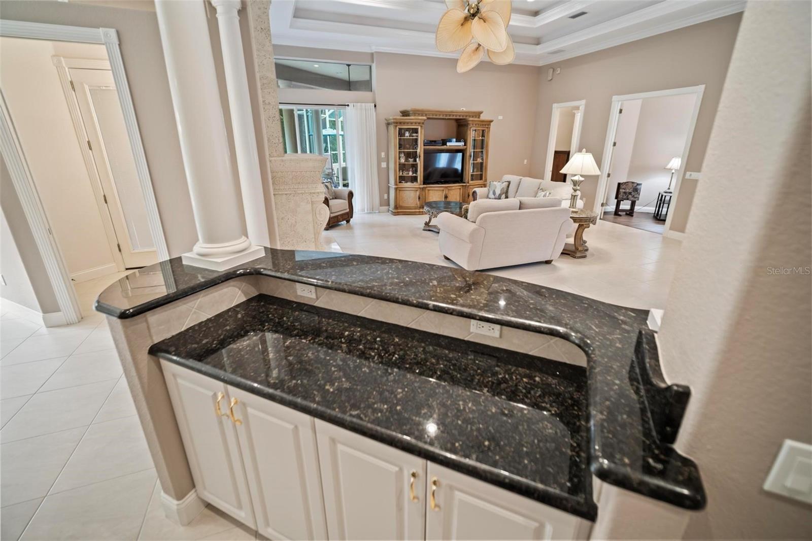 55 RIVERBEND DR, PALM COAST, FL, 32137