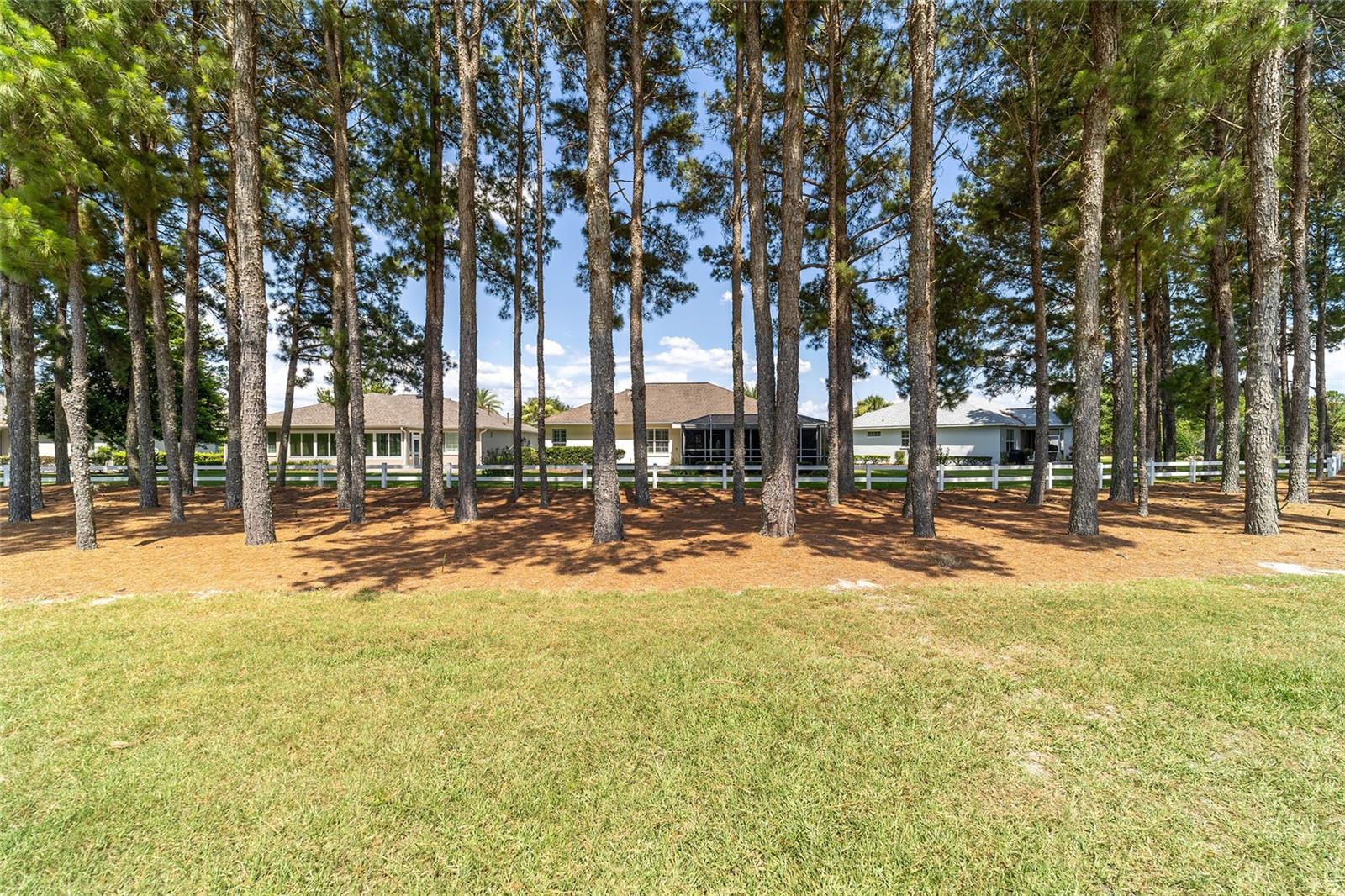 8668 SW 86TH CIR, OCALA, FL, 34481