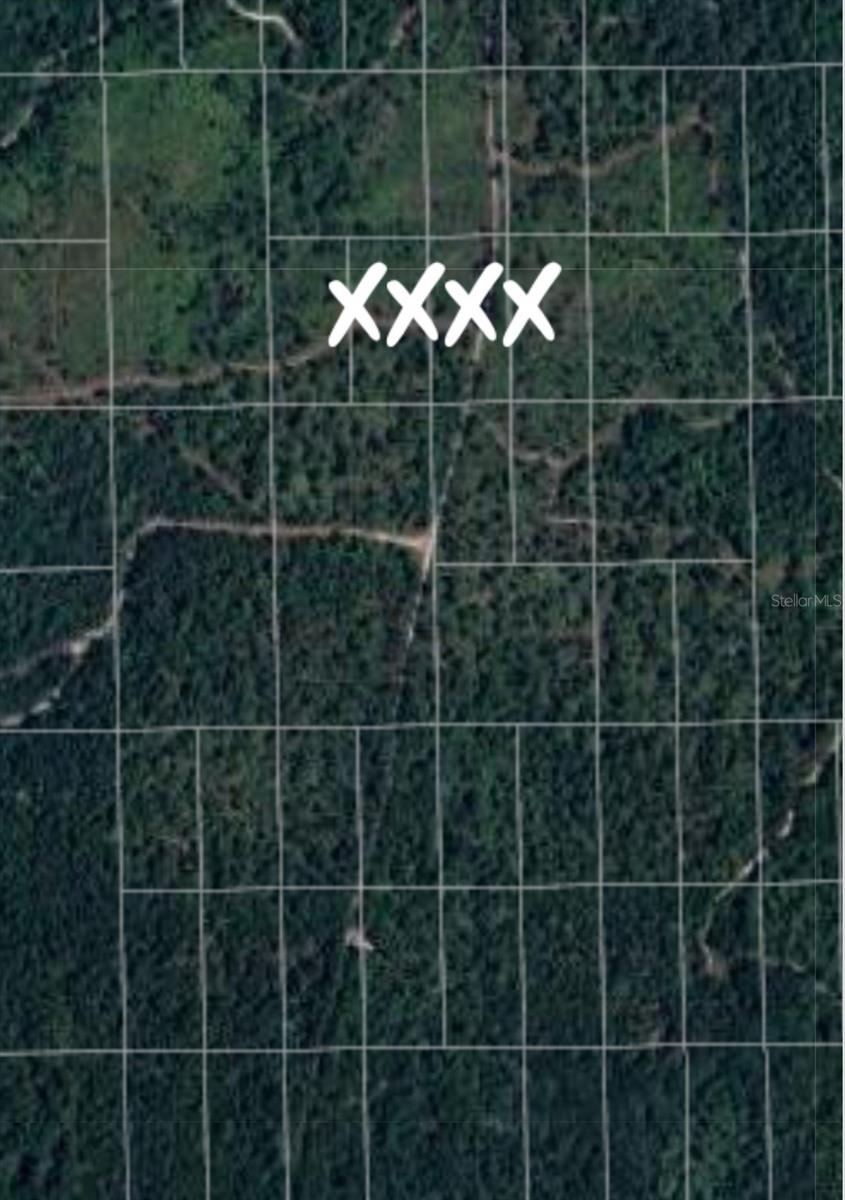 NO NAME, DELAND, FL, 32724