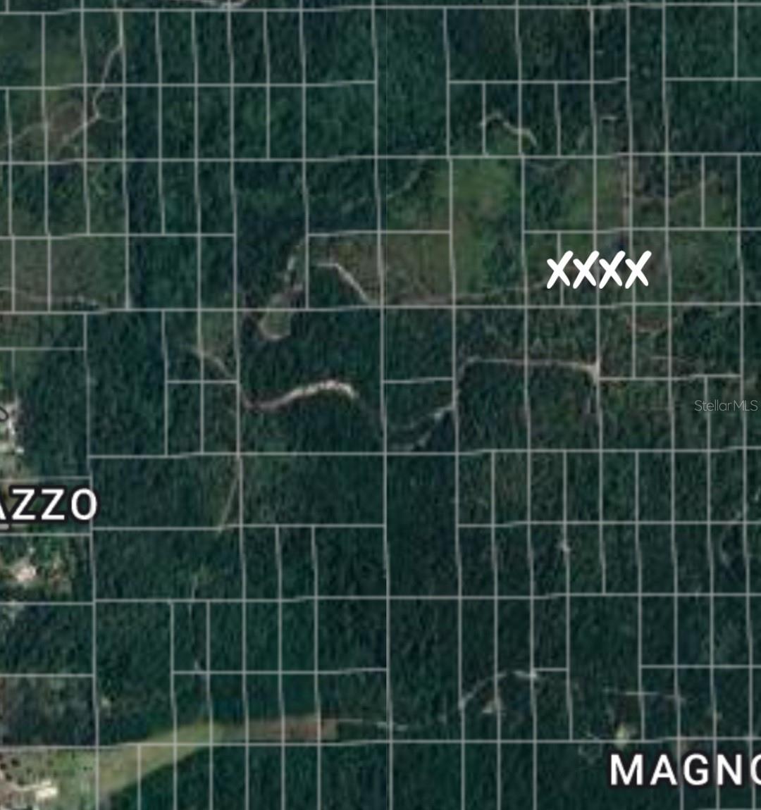 NO NAME, DELAND, FL, 32724