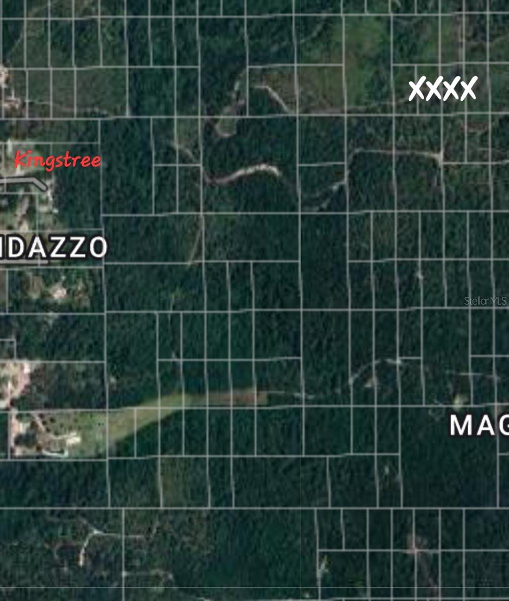 NO NAME, DELAND, FL, 32724