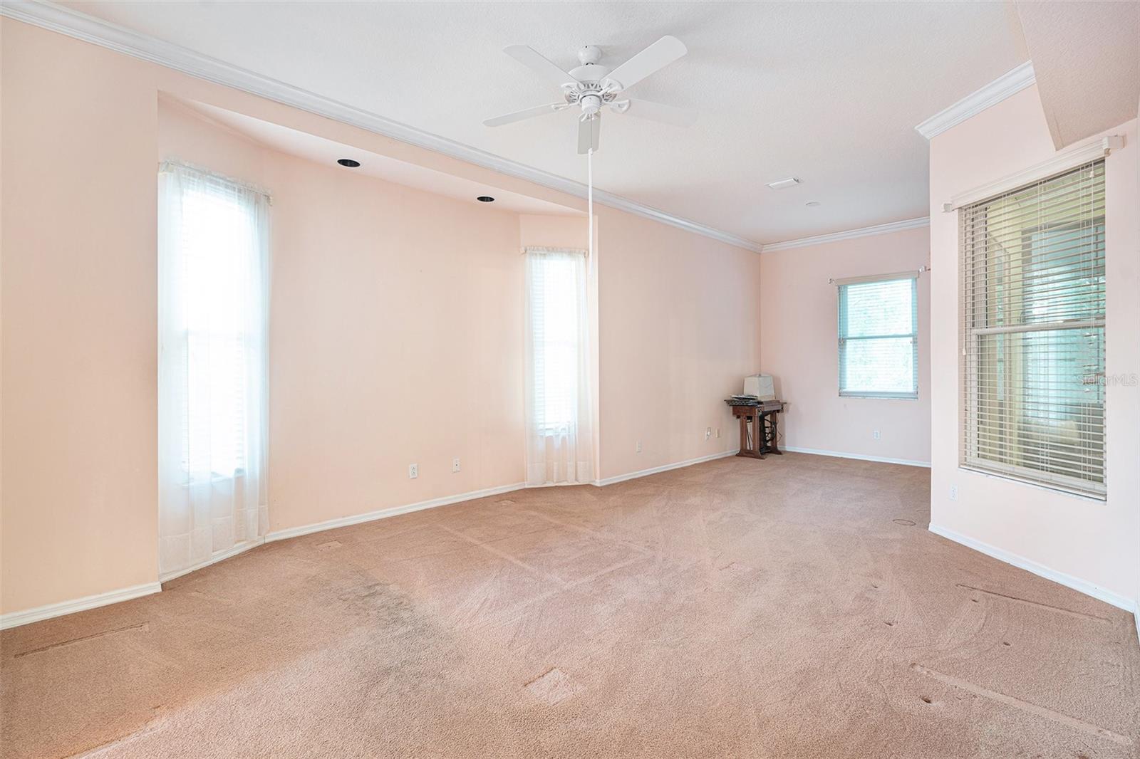3545 E LAKE DR, LAND O LAKES, FL, 34639