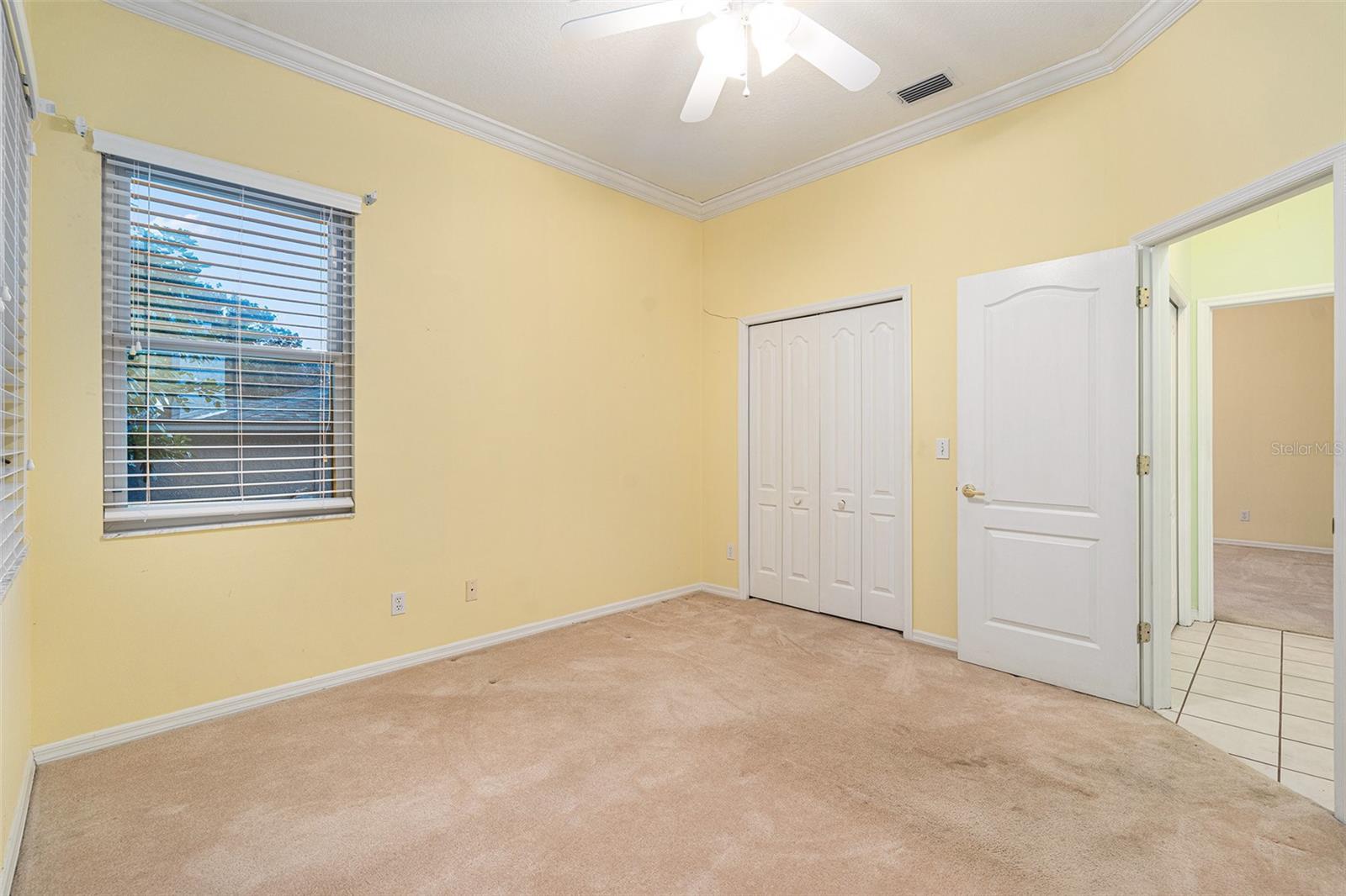 3545 E LAKE DR, LAND O LAKES, FL, 34639