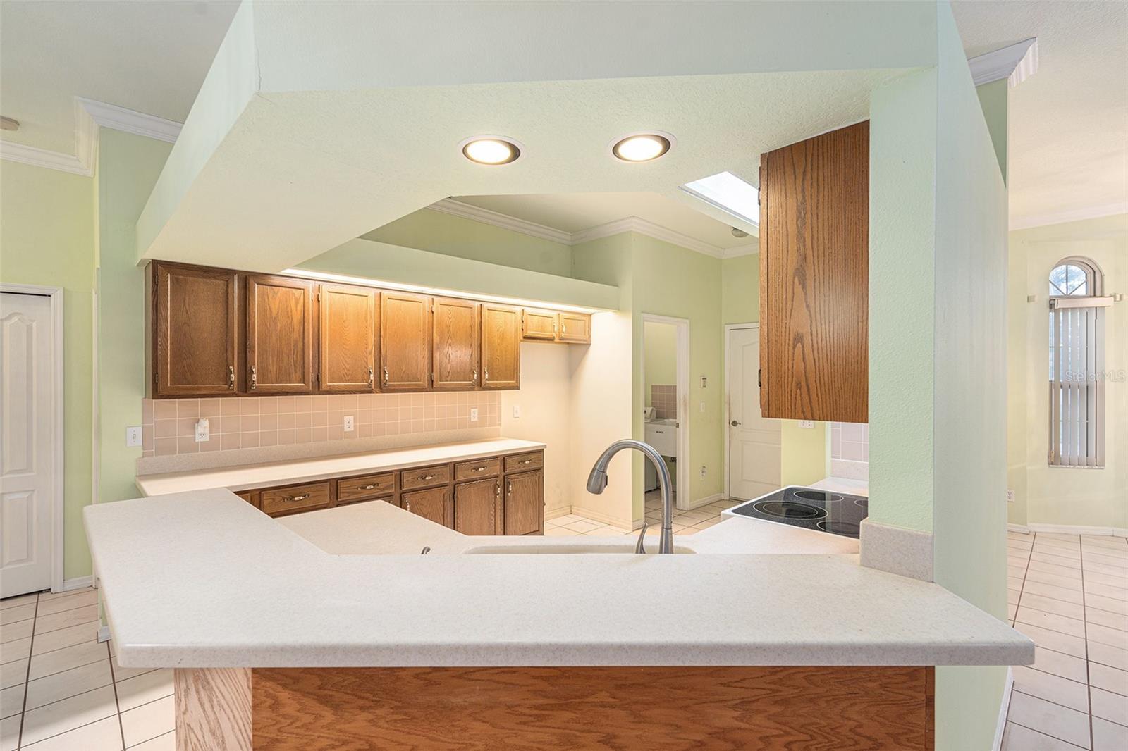 3545 E LAKE DR, LAND O LAKES, FL, 34639