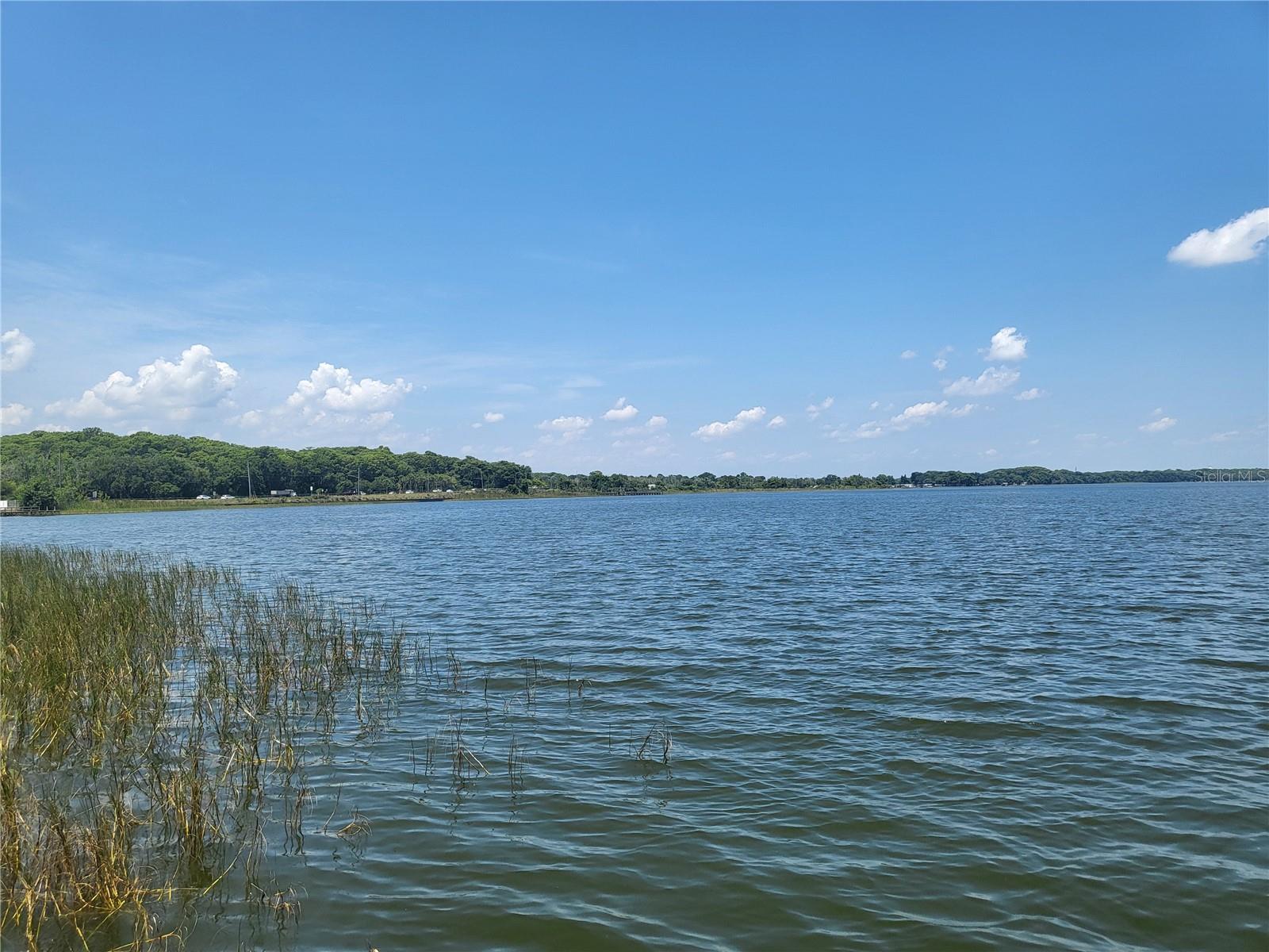 1101 LAKE SHORE BLVD, TAVARES, FL, 32778