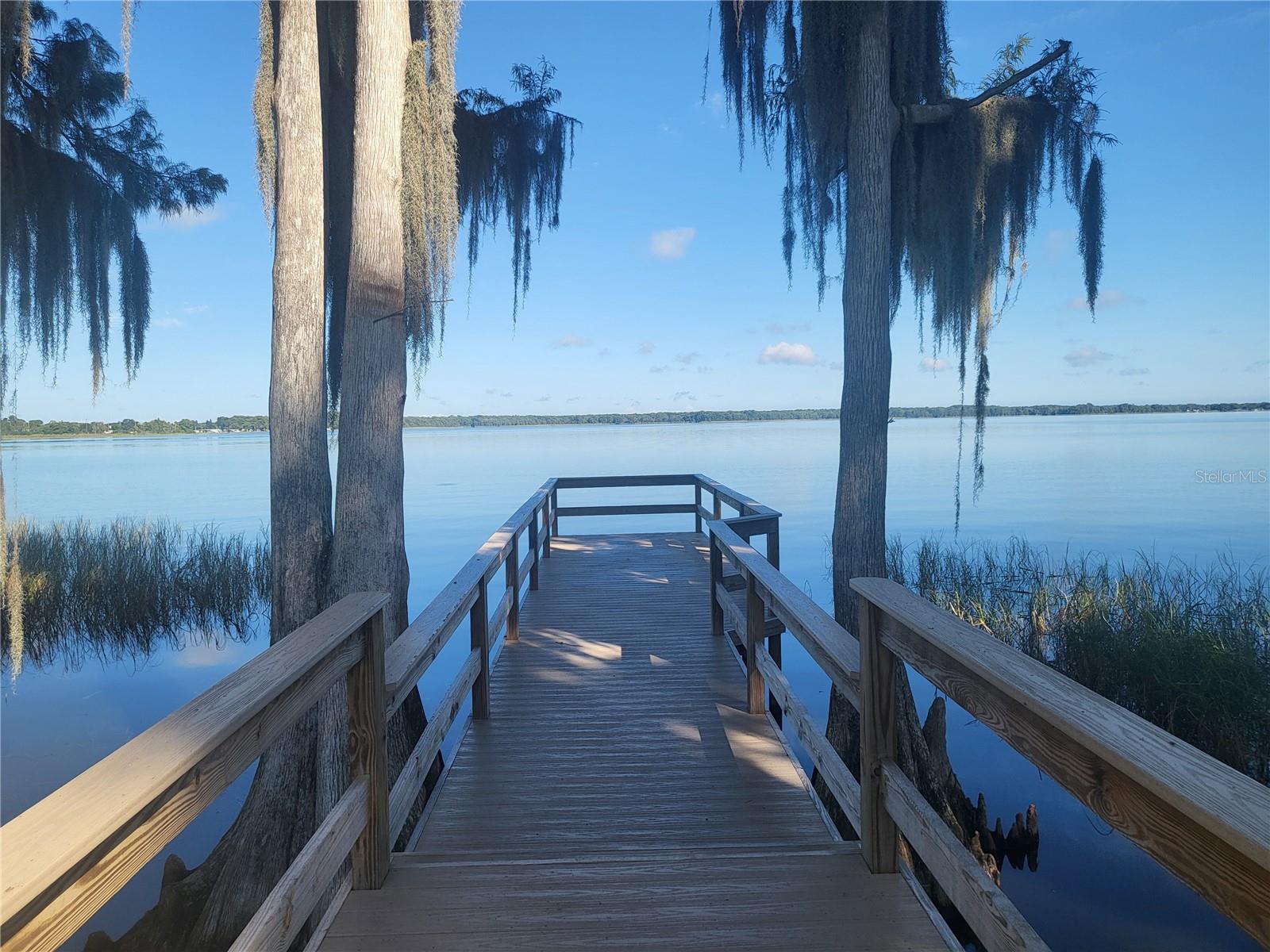 1101 LAKE SHORE BLVD, TAVARES, FL, 32778
