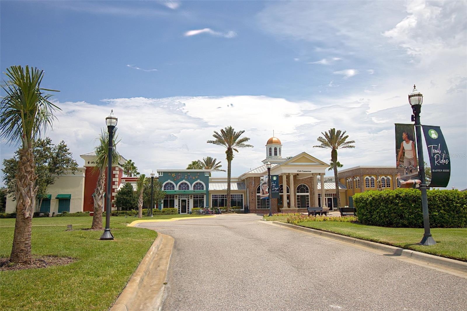 8600 SAVORY WALK DR, LAND O LAKES, FL, 34637