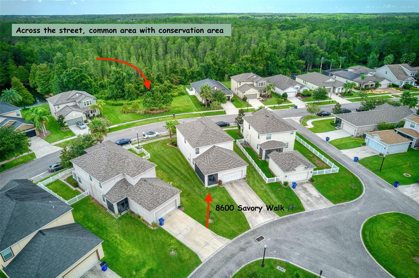 8600 SAVORY WALK DR, LAND O LAKES, FL, 34637