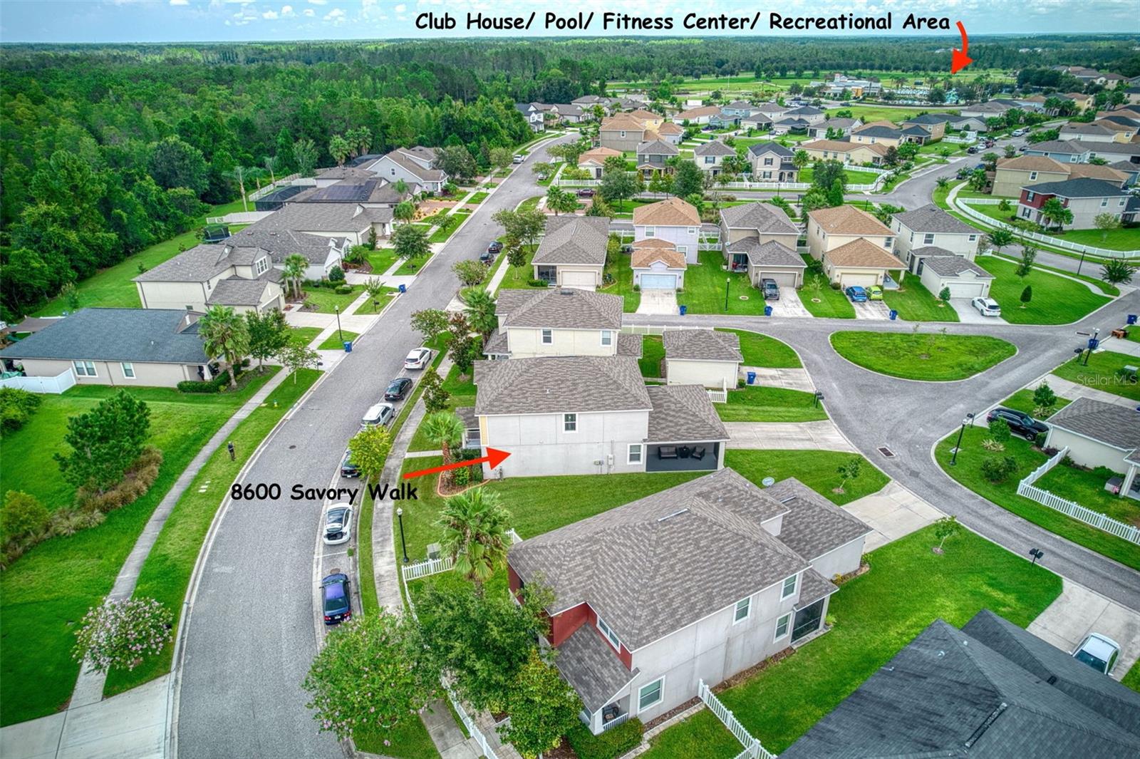 8600 SAVORY WALK DR, LAND O LAKES, FL, 34637