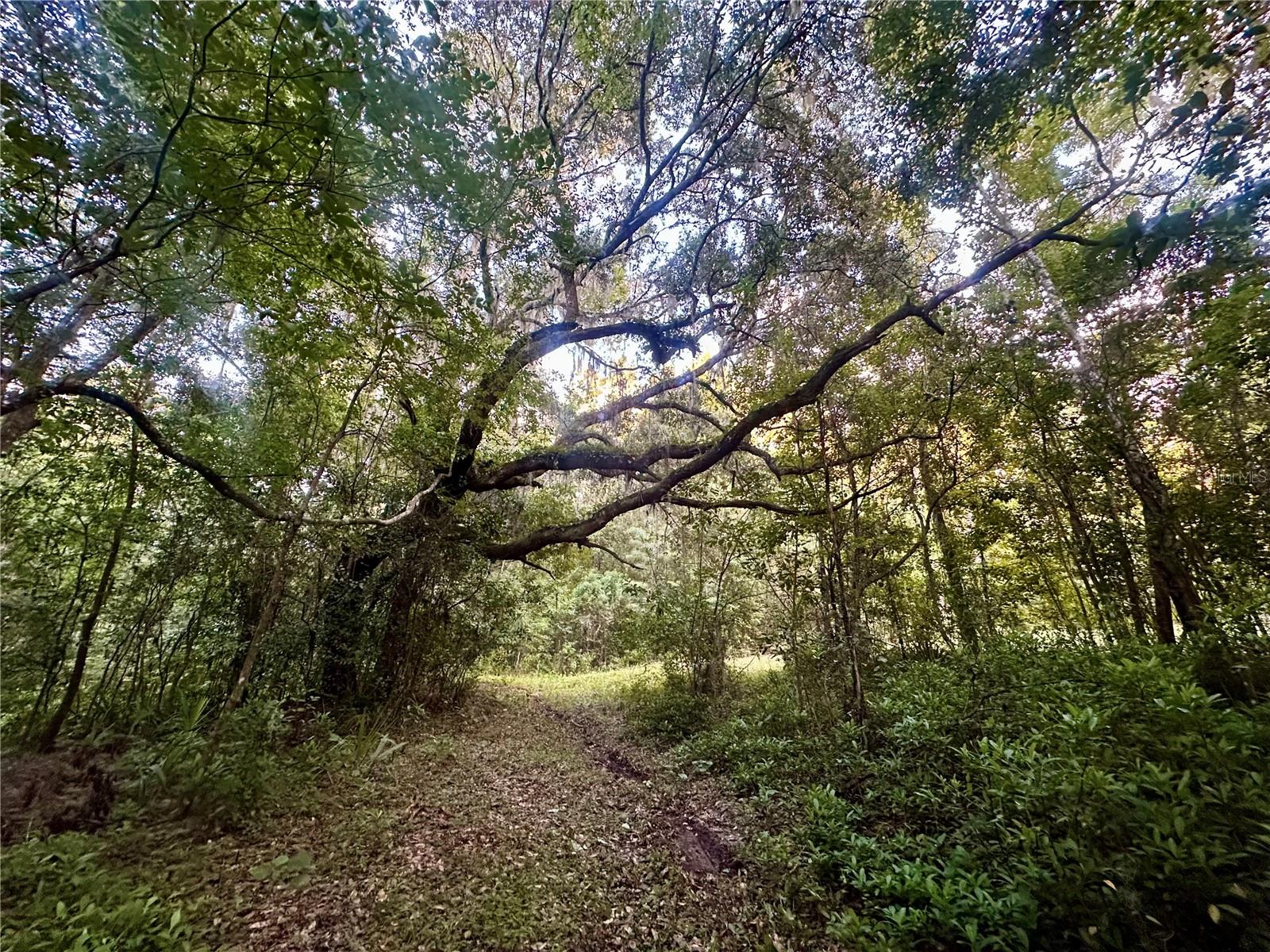 SCIENCE DR, BROOKSVILLE, FL, 34601