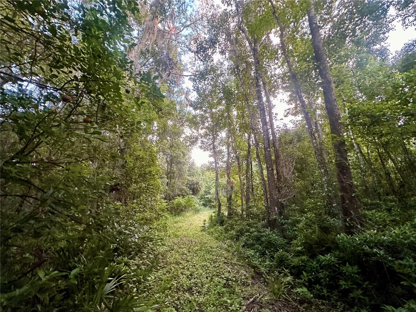 SCIENCE DR, BROOKSVILLE, FL, 34601